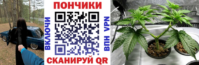 Наркота Чернушка Псилоцибиновые грибы  Альфа ПВП  АМФЕТАМИН  Канабис  COCAIN 