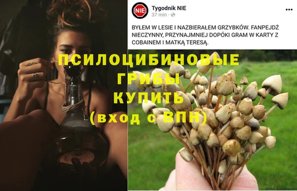 mix Алексеевка