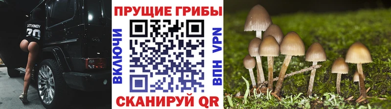 мега ТОР  хочу   Чернушка  Галлюциногенные грибы GOLDEN TEACHER 